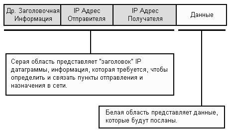 IP датаграмма
