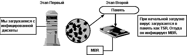 Иллюстрация инфицирования