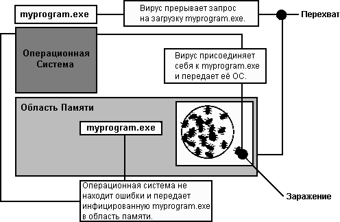 Загрузка программы при присутствии файлового вируса